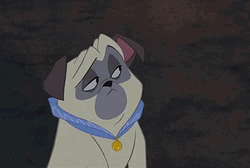 Percy Wearing Blue Collar Eye Roll Meme GIF