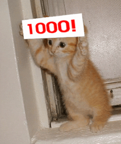 Perfect 1000 Cat With Gun GIF
