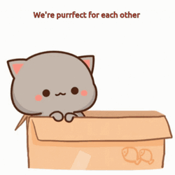 Perfect Cute Kittens You Complete Me GIF