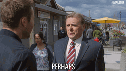 Perhaps Impastor Michael Rosenbaum GIF