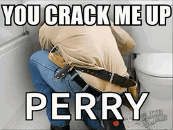 Perry Plumber Has Cracks On GIF