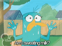Perry The Platypus Am I Sweating Milk GIF