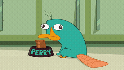 Perry The Platypus From Phineas And Ferb GIF