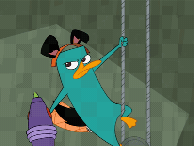 Perry The Platypus Held By Person GIF