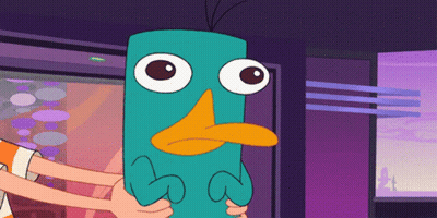 Perry The Platypus Held By Two People GIF
