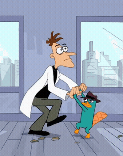 Perry The Platypus Holding Hands With Man GIF