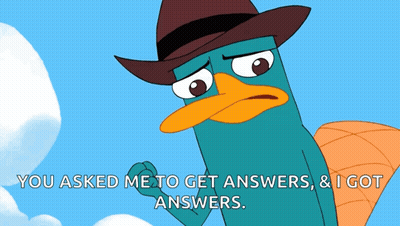 Perry The Platypus In Cowboy Hat Saying You Asked Me To Get Answers GIF