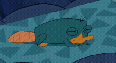 Perry The Platypus Laying In Bed GIF
