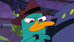 Perry The Platypus Looking At Its Watch GIF