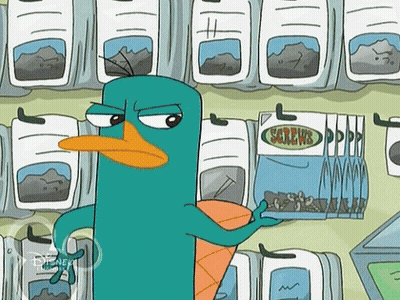 Perry The Platypus Looking At Screws GIF