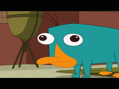 Perry The Platypus Looking At Something GIF