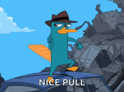 Perry The Platypus Standing On Car Roof GIF