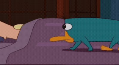 Perry The Platypus Wearing Hat GIF