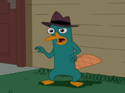 Perry The Platypus Wearing Hat GIF