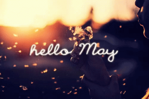 Person Blowing Dandelions Hello May GIF