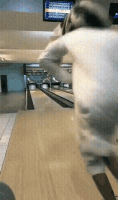 Person Bowling In Alley In Front Of Scoreboard GIF
