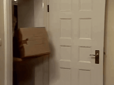 Person Carrying Cardboard Box GIF