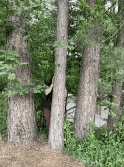 Person Covering Face Behind Tree GIF