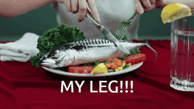 Person Cutting Fish With Vegetables And My Leg GIF