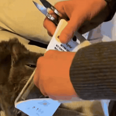 Person Cutting Paper Saying Recycle GIF