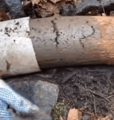 Person Cutting Wood With Knife GIF