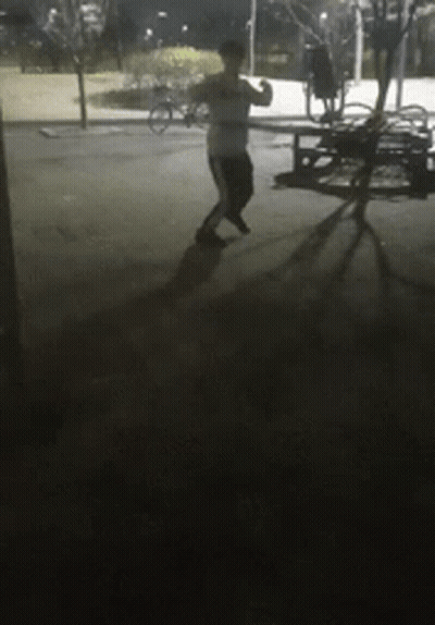 Person Dancing In Dark Park At Night GIF