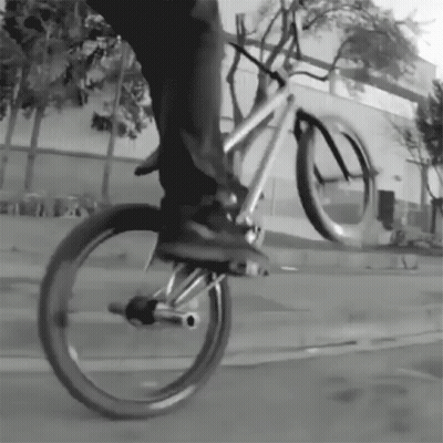Person Doing Bike Trick GIF