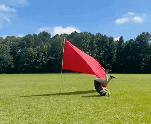 Person Doing Handstand With Red Flag GIF
