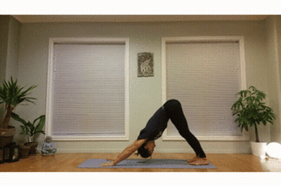 Person Doing Yoga Pose On Mat GIF