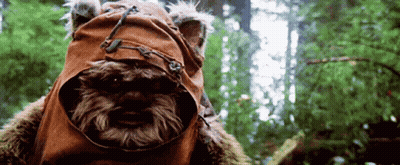 Person Dressed As Ewok In Forest GIF