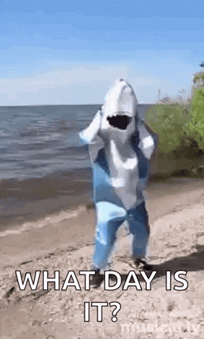 Person Dressed As Shark Standing On Beach GIF
