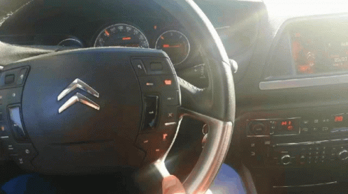 Person Driving Citroen With X And Y On Steering Wheel GIF