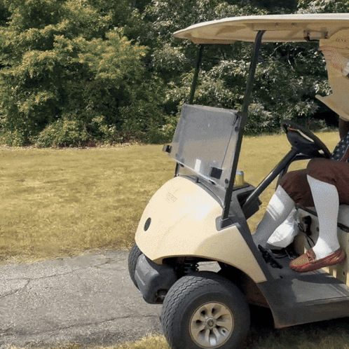 Person Driving EZGO Golf Cart GIF
