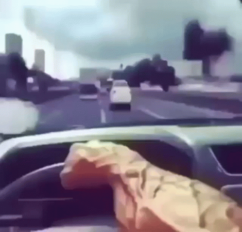 Person Driving With Chips On Wheel GIF