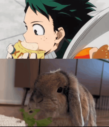 Person Eating Banana Next To Rabbit Eating Grass GIF