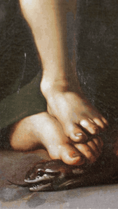 Person Feet With Snake On Ground GIF
