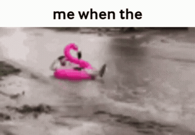 Person Floating On Pink Flamingo GIF