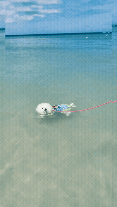 Person Floating On Raft In Ocean GIF