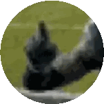 Person Giving Middle Finger Sticker