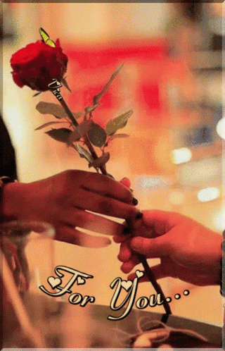 Person Giving Rose To Another Saying For You GIF