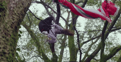Person Hanging From Tree Branch With Red White Blue Blanket GIF