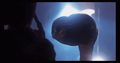 Person Head With Blue Light Behind GIF