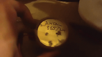 Person Holding Akoh 365/24 Container GIF