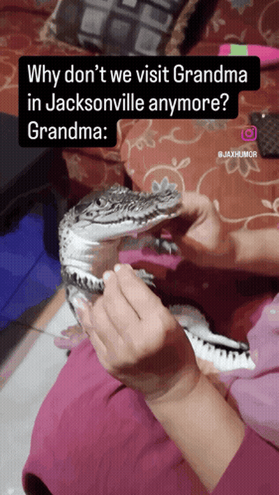 Person Holding Alligator Why Don't We Visit Grandma GIF