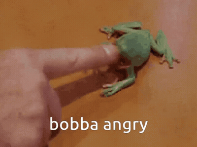 Person Holding Angry Toy Frog GIF
