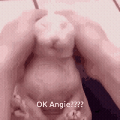 Person Holding Baby Statue Says Ok Angie? GIF