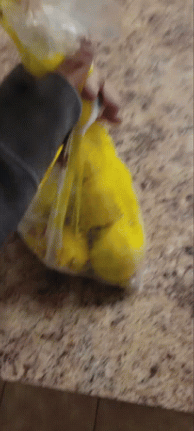 Person Holding Bag Of Lemons GIF