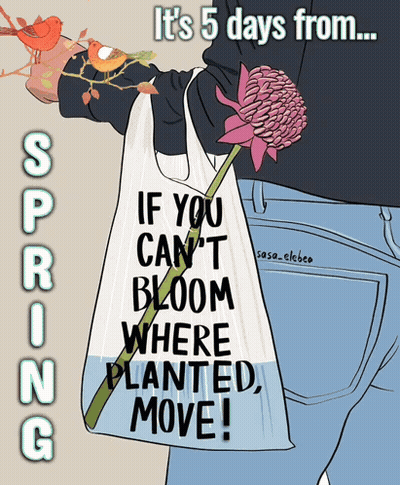 Person Holding Bag Saying If You Can't Bloom Where Planted Move GIF