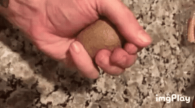 Person Holding Ball GIF