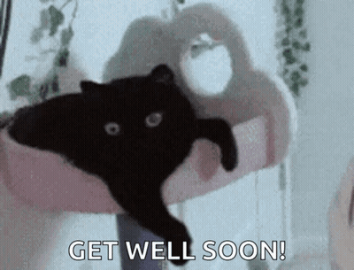 Person Holding Black Cat Saying Get Well Soon GIF